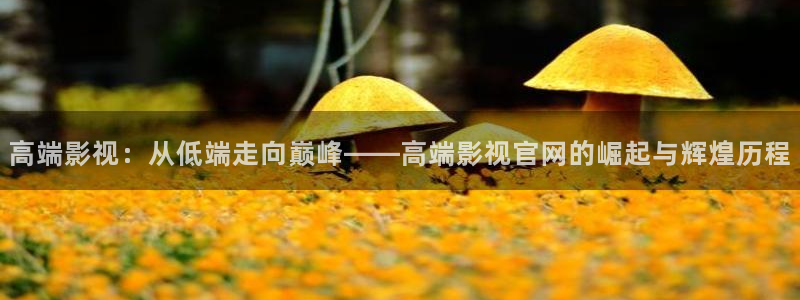 七七影院社区一：高端影视：从低端走向巅峰——高端影视官网的崛起与辉煌历程