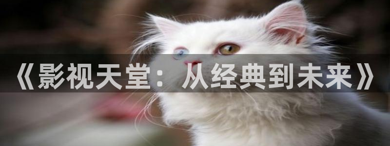 七七影视大全旧版本：《影视天堂：从经典到未来》