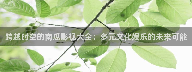 色七七影院影院：跨越时空的南瓜影视大全：多元文化娱乐的未来可能