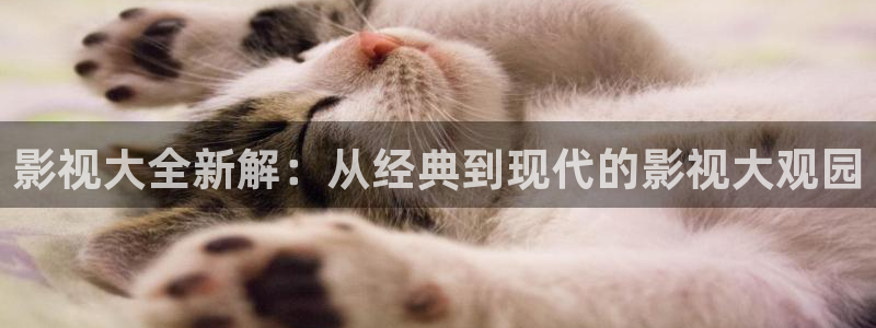 色七七影院自拍：影视大全新解：从经典到现代的影视大观园