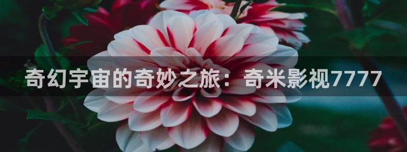 久久七七影院：奇幻宇宙的奇妙之旅：奇米影视7777