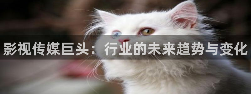 色七七影院欧美：影视传媒巨头：行业的未来趋势与变化
