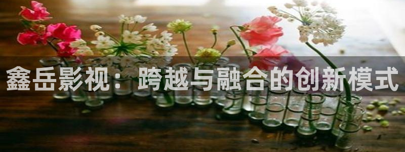 色七七影院桃花综合：鑫岳影视：跨越与融合的创新模式