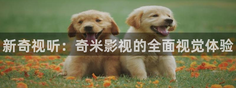 色七七影院在线观看：新奇视听：奇米影视的全面视觉体验